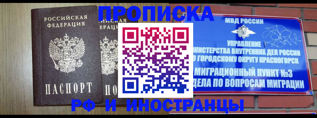 прописка в квартире в Звенигово